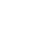 PDF icon